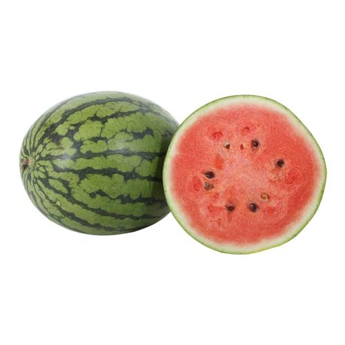 SANDIA x kg
