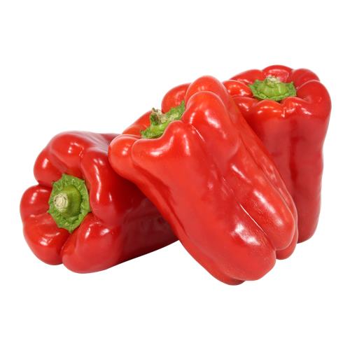 PIMIENTO ROJO