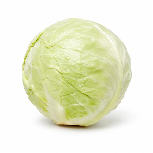 REPOLLO