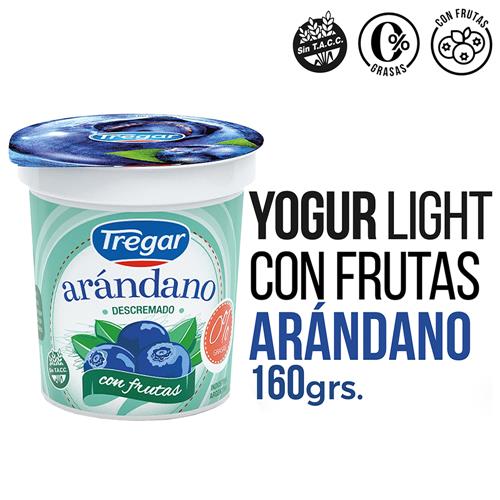 YOGUR DESC ARANDANOS x 160g TREGAR