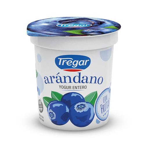 YOGUR ENT ARANDANOS TREGAR x 160g
