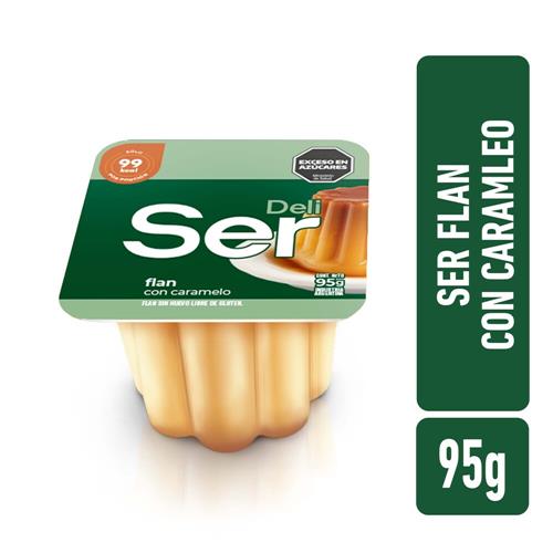 FLAN SER X95G