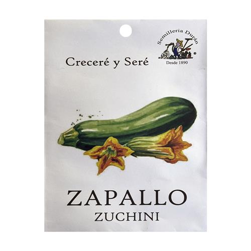 ZUCCHINI