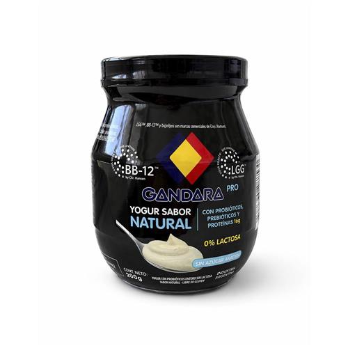YOGUR NATURAL PROBIOTICOS GANDARA X200G
