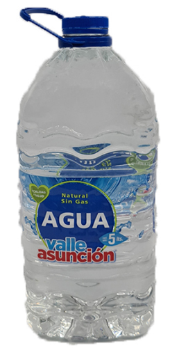 BIDON AGUA VALLE ASUNCION x 5L