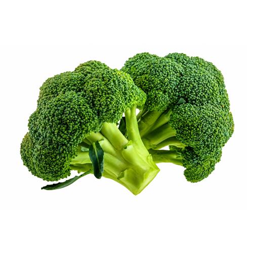 BROCOLI x U