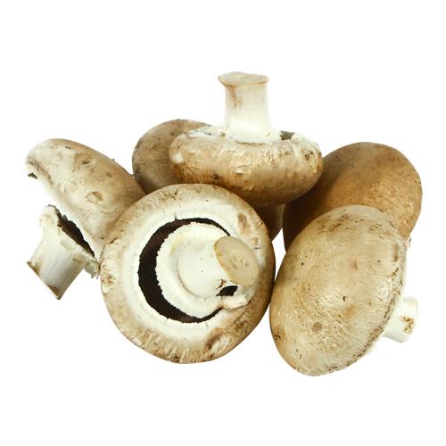 CHAMPIGNON/PORTOBELLO x KG