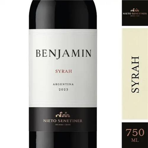 VINO SYRAH 750ml BENJAMIN